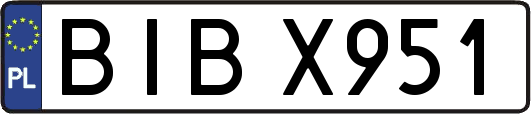 BIBX951