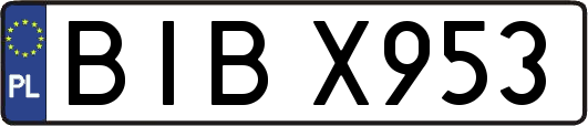 BIBX953