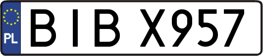 BIBX957
