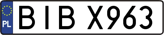 BIBX963