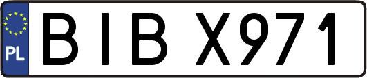 BIBX971
