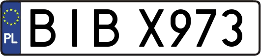 BIBX973