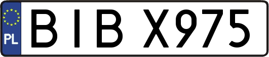 BIBX975