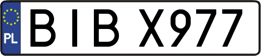 BIBX977