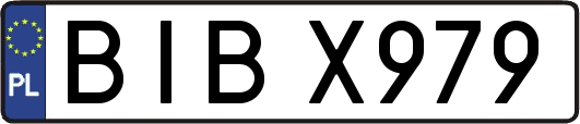 BIBX979