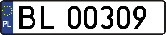 BL00309