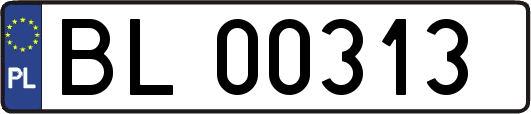 BL00313