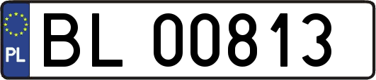 BL00813
