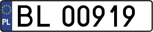 BL00919