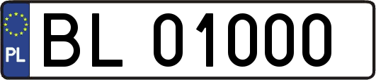 BL01000