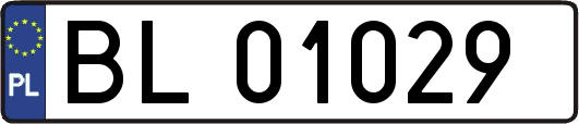 BL01029