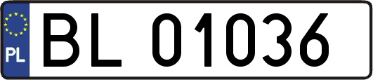 BL01036