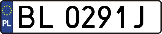BL0291J