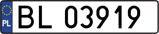 BL03919