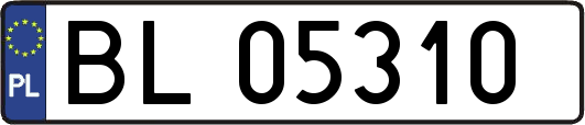 BL05310