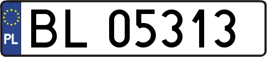 BL05313