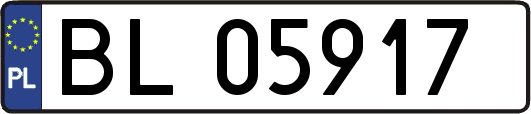 BL05917