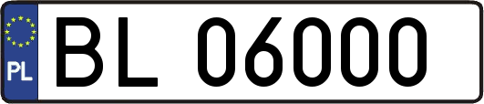 BL06000