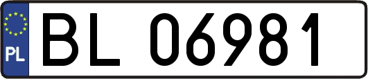 BL06981