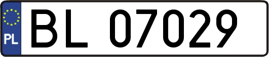 BL07029