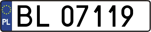 BL07119