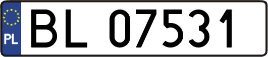 BL07531