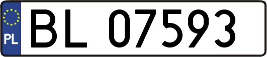 BL07593