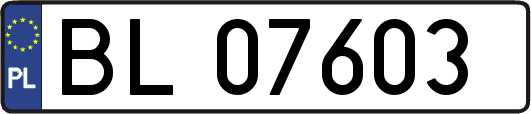 BL07603