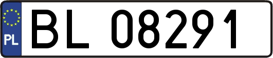 BL08291