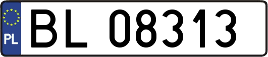 BL08313