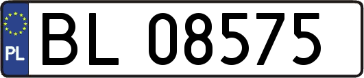 BL08575