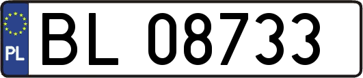 BL08733