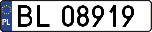 BL08919