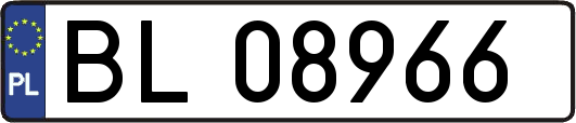 BL08966