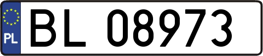 BL08973