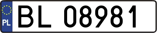 BL08981