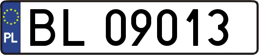 BL09013