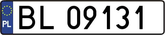 BL09131
