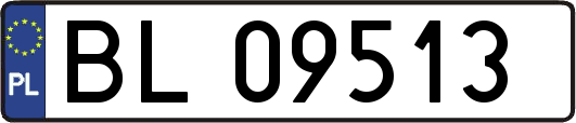 BL09513