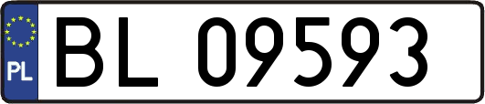 BL09593