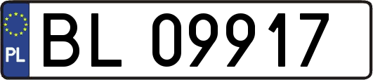 BL09917