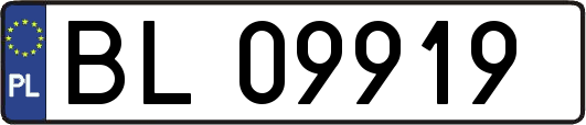 BL09919