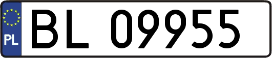 BL09955