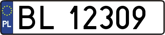 BL12309