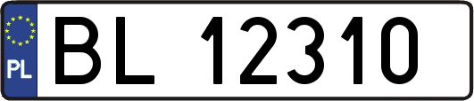 BL12310
