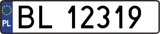 BL12319