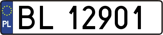 BL12901