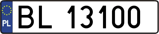 BL13100