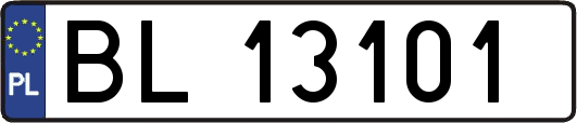BL13101