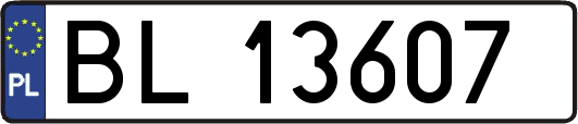 BL13607